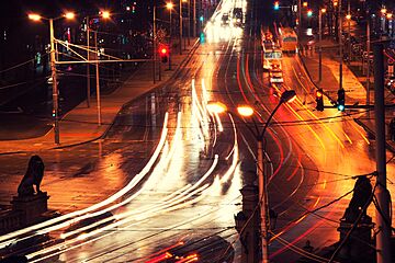 Купить Гражданство Болгарии