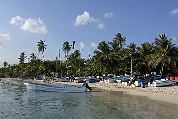 Паспорт Доминики за Инвестиции. AAAA ADVISER LLC