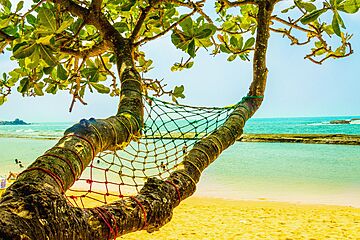 Гражданство Сент Китс