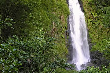Гражданство Доминики
