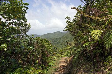 Страна Доминика, #2