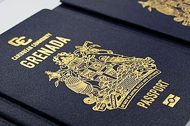 США «хотят убить» карибские программы получения второго гражданства, считает премьер-министр Антигуа и Барбуды
