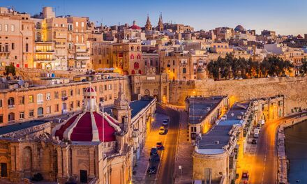 Сколько на самом деле заявителей получили гражданство Мальты? 