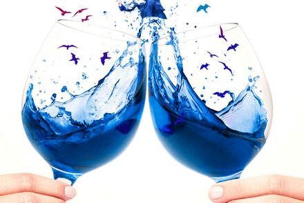 Синее вино появится во Франции
