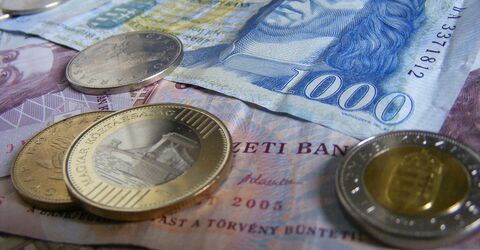 Тратят ли жители Венгрии свои лишние деньги сразу после получения?