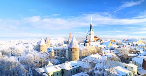 Эстония рассматривает вопрос о выдаче цифровых виз