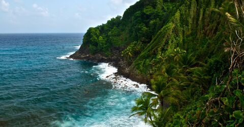 Dominica запускает кампанию ReDiscover Dominica