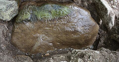 Археологическое и Историческое общество Сент-Люсии провело экскурсию, рассказывающую о петроглифах острова Сент-Люсии