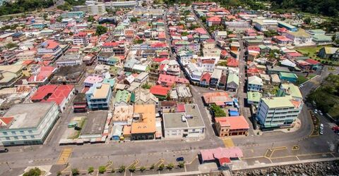 На карибском острове Доминика к концу 2019-го года будет посажено 1 000 000 деревьев