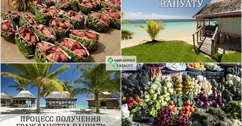 Краткий анализ программ инвестиционного гражданства Вануату на 2019 год