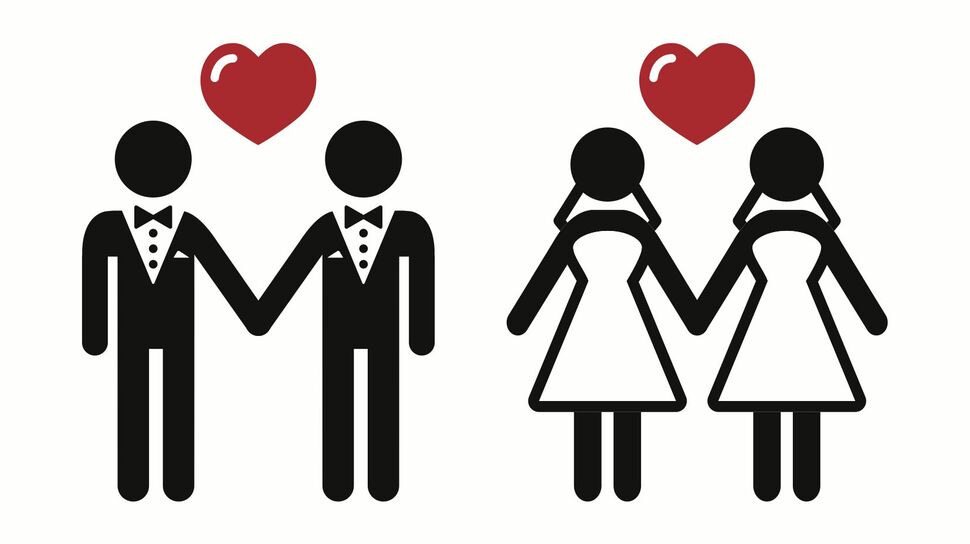 Gay and lesbian adoption laws