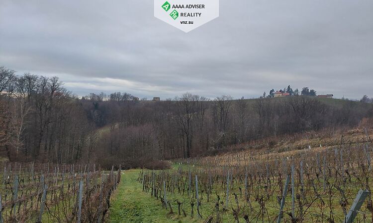 Недвижимость Словении Виноградник + 5% Годовой Доход на 10 Лет: 2