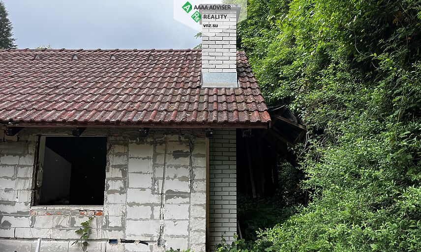 Недвижимость Словении Поместье из старой мельницы на берегу реки: 3