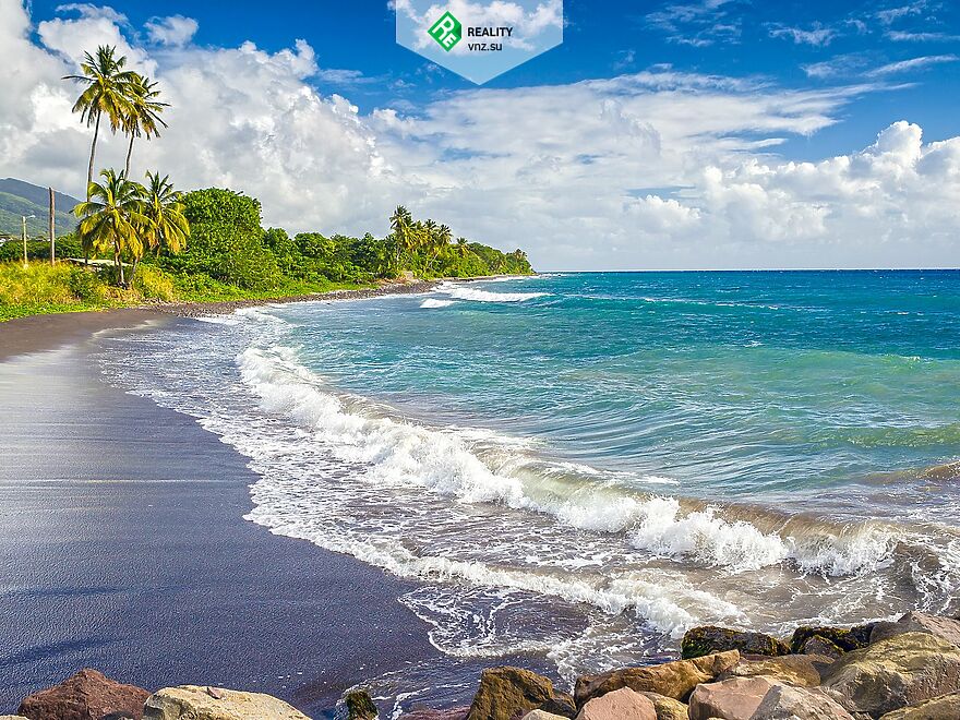 Паспорт Сент-Китс и Невис за Инвестиции. AAAA ADVISER LLC